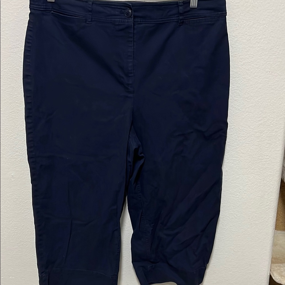 Very dark Navy Blue Cropped Pants size 16p